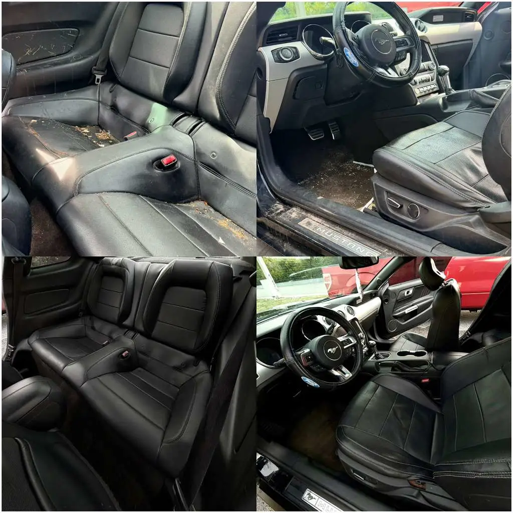 Interior deep clean seats
