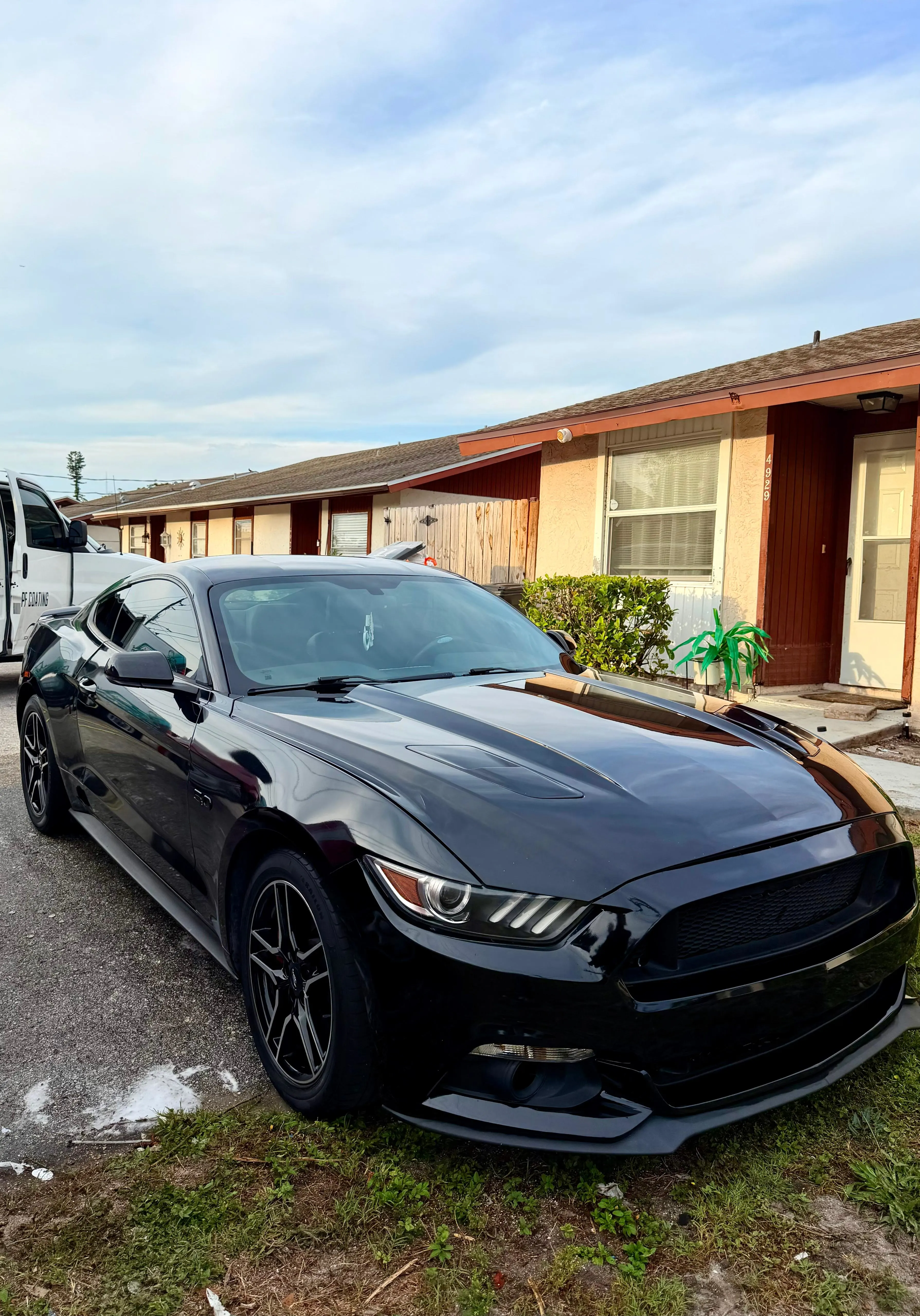 Mustang full exterior detail